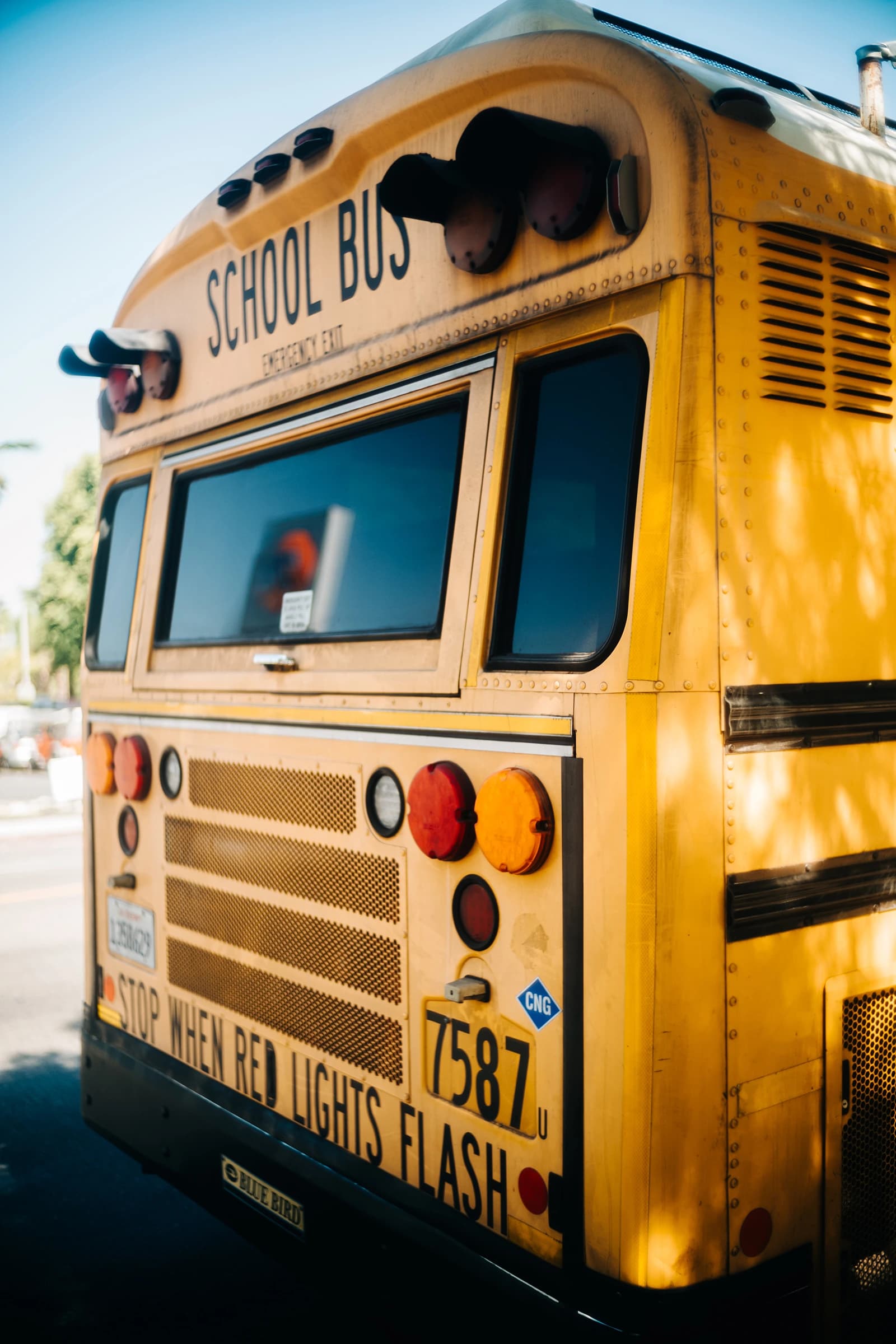 Gelber Schulbus von hinten mit „SCHOOL BUS“-Schrift und roten Lichtern auf einer Straße.